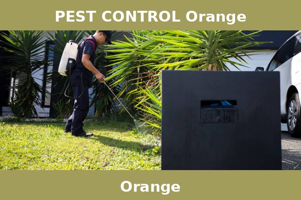 PEST CONTROL Orange